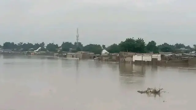 Ambaliya