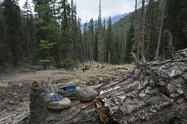 द रेझिस्टन्स फ्रंट TRF काय आहे?