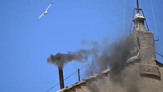 সিস্টিন চ্যাপেলের চিমনি দিয়ে কালো ধোঁয়া বের হওয়ার অর্থ- এখনো সিদ্ধান্তে পৌঁছাতে পারেননি কার্ডিনালরা