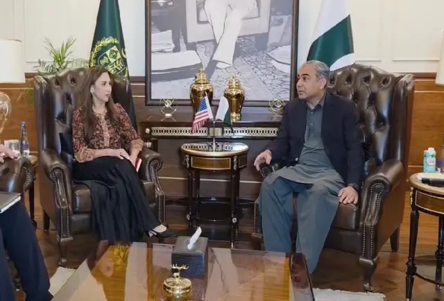 وزیر داخلہ محسن نقوی