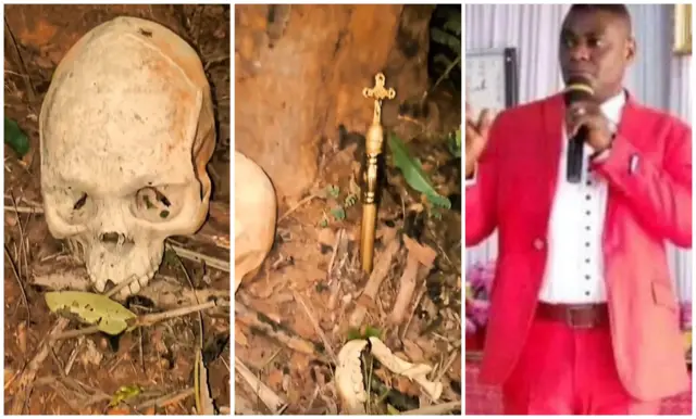 Okporoisi na mkpara ụkọchukwu Chinedu Ezedike ji arụ ọrụ ya n'ime ọhịa