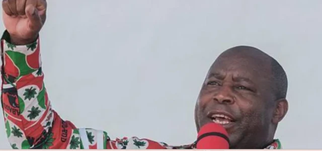 Ndị ndọrọndọrọ ọchịchị ndị ọzọ na-ebo ebubo igbu ọchịchị onyekwuoucheya na mba ahụ dị n’etiti Afrịka.