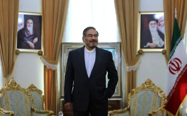 أمين المجلس الأعلى للأمن القومي الإيراني السابق علي شمخاني في 10 يوليو/تموز 2019.