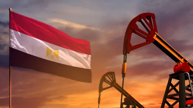 مصر.