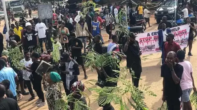 Mgbe ndị ntoroọbịa na-eme ngagharịiwe maka ogbugbu ndị mmadụ na Benue Steeti