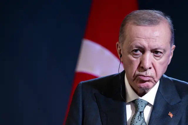الرئيس التركي رجب طيب اردوغان.