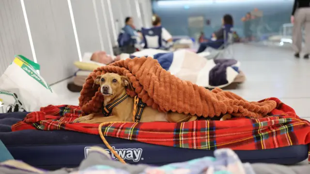 تل آویو - پناهگاه