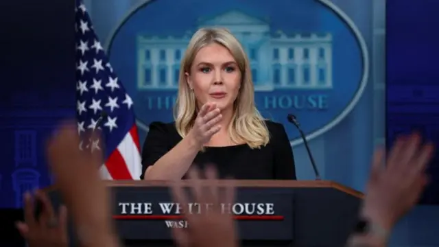 ক্যারোলিন লেভিট