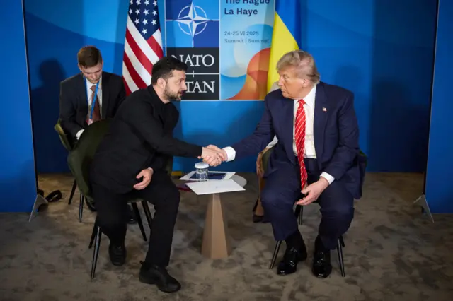 Владимир Зеленский и Дональд Трамп позируют перед камерой, пожимая друг другу руки, на полях саммита НАТО в Гааге