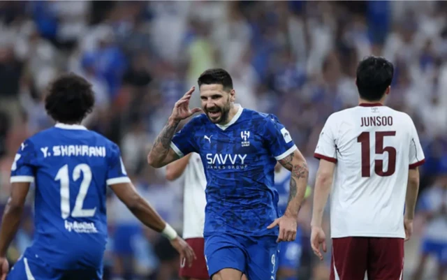 Mitrovic