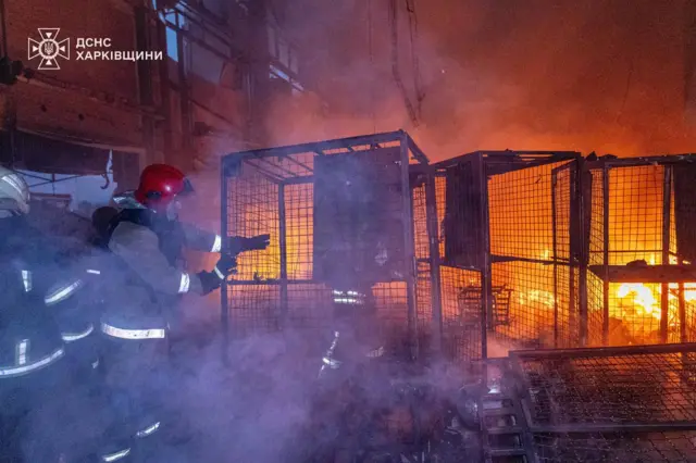 Спасатели опубликовали фото пожаров