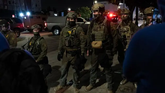 پلیس مهاجرت و گمرک