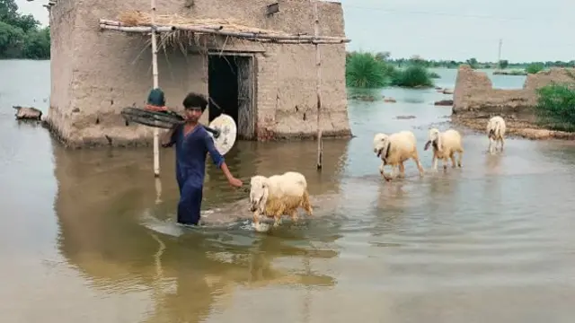 بلوچستان