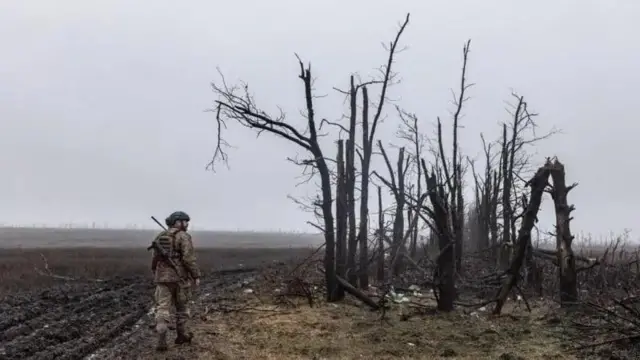поле