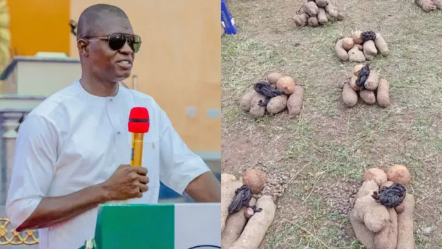 Foto Gọvanọ Nwifuru na ji ọhụrụ