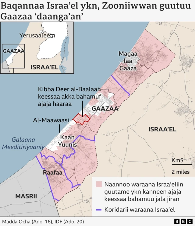 Bakkeewwan akka baqatamuuf ajajame