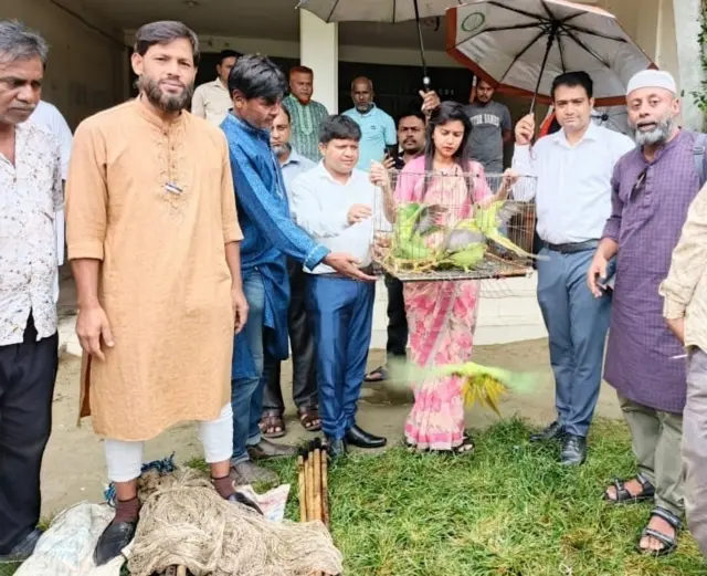 কিশোরগঞ্জে অর্ধশতাধিক টিয়াপাখি উদ্ধার ও অবমুক্ত করেছে প্রশাসন