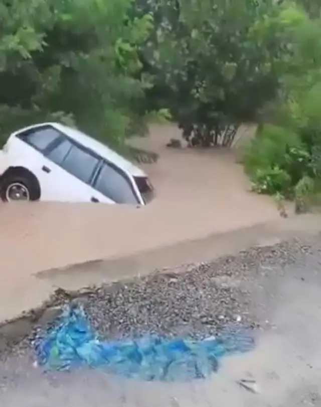 سوشل میڈیا