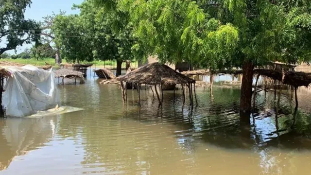 Ambaliya