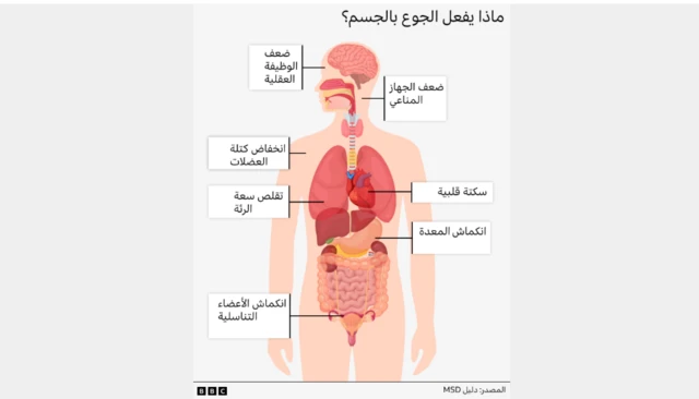 جسم الإنسان
