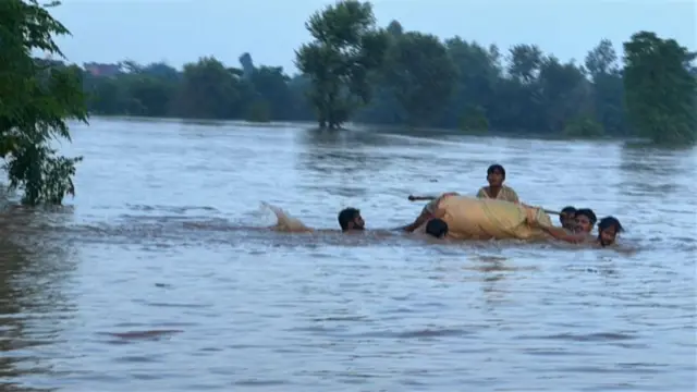पाकिस्तान बाढ़