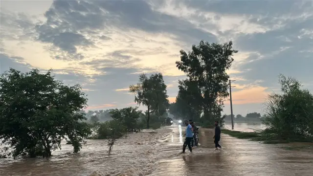 نارروال