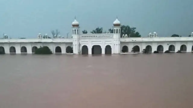 Mian Shahid Iqbal