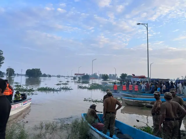 نارروال