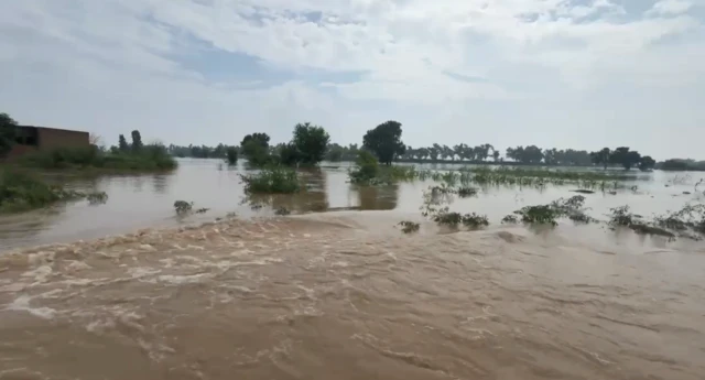 Punjab