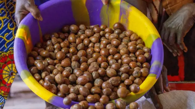 Naịjirịa bụ mba kacha emepụta mkpụrụ osisi shea n'ụwa, dịka ọ na-ewe ihe dịka tọn 350,000 kwa afọ.