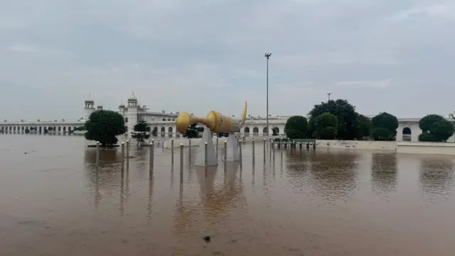 نارروال