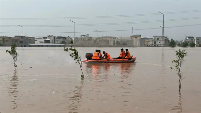 پارک ویو