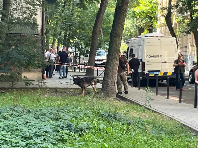 Полицейская оврачка помечает дерево, рядом стоит машина полиции.