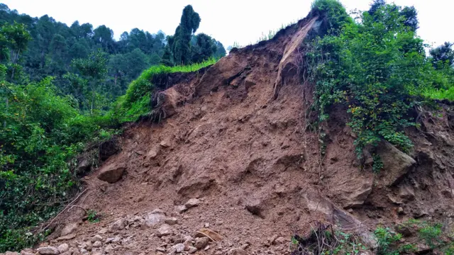 सांकेतिक तस्वीर