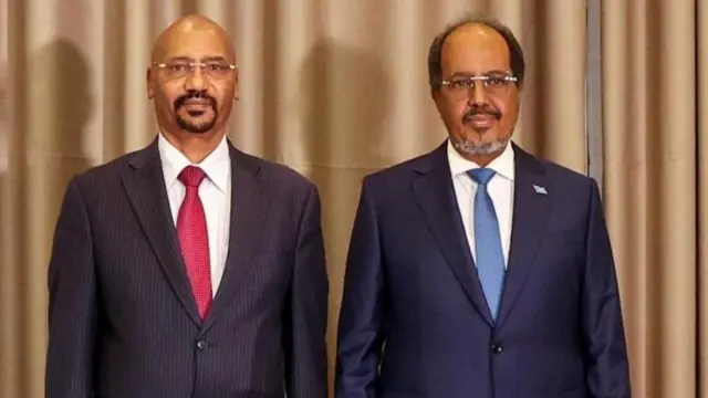 Ambaasaadar Suleemaan Dadafoo pirezidantii Somaaliyaa Haasn Sheek Mohaamud waliin