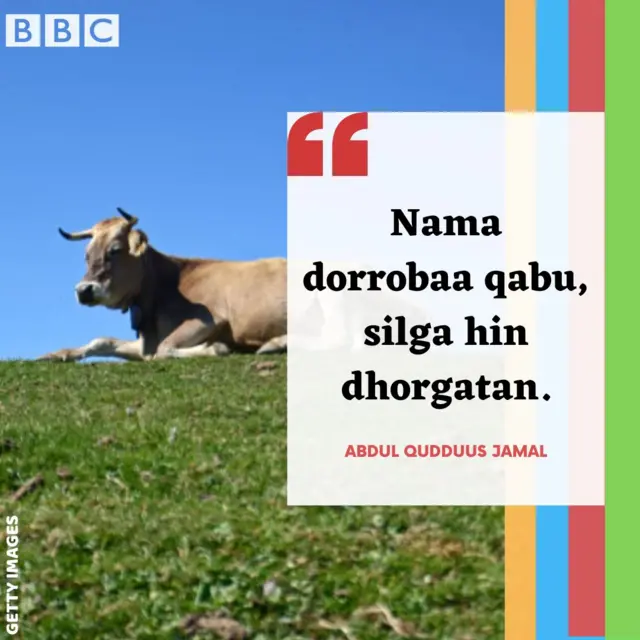 Mammaaksa Oromoo