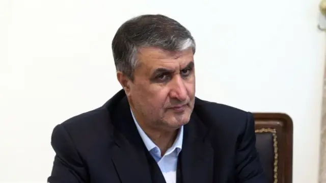 محمد سلامی، رئیس سازمان انرژی اتمی ایران