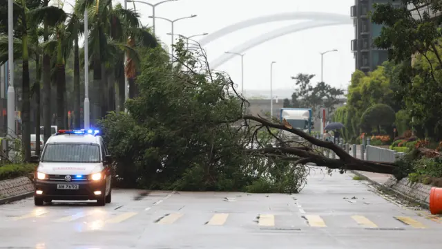 香港將軍澳一處馬路警車停在路中央處理塌樹（24/9/2025）