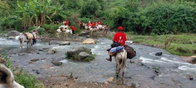 Wasu mutane a kan jakuna