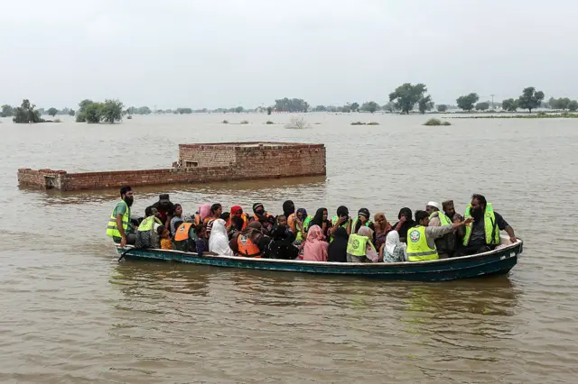 PDMA Punjab