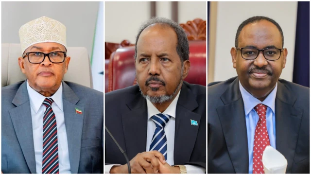 ፕረዚደንት ሶማሊላንድ ዓብዲራሕማን መሓመድ ዓብደላሂ (ጸጋም)፡ ፕረዚደንት ሶማልያ ሓሰን ሸኽ መሓመድ (ኣብ ማእከል) ከምኡ’ውን ፕረዚደንት ፑንትላንድ ስዒድ ዓብደላሂ ደኒ (የማን)