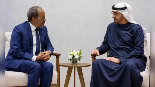 Pireezidaantii Somaaliyaa Hasan Sheek Mohamud fi Pirezidantii UAE Mohaammad Bin Zaayid Al Nahyan