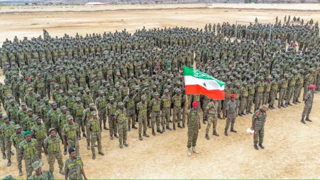 Ciidamo Somaliland