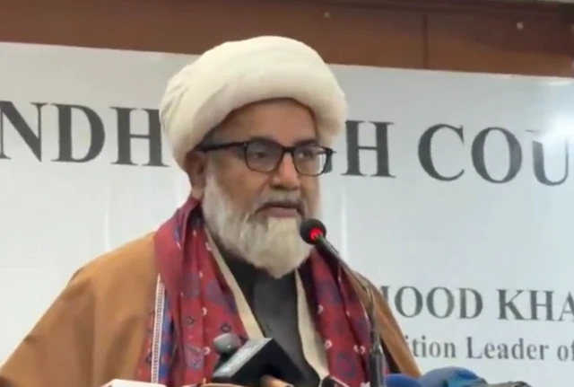 مجلس وحدت المسلمین کے سربراہ اور پاکستان تحریکِ انصاف (پی ٹی آئی) کے حمایت یافتہ سینیٹر راجہ ناصر عباس