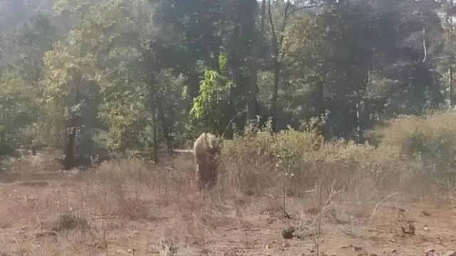 ऑपरेशन का लोकेशन