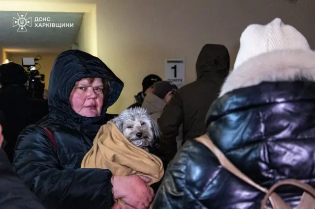 женщина кутает собаку