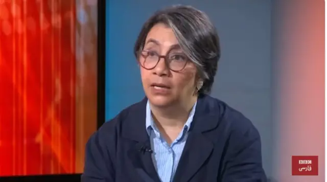 مژگان ایلانلو، مستندساز و فعال سیاسی