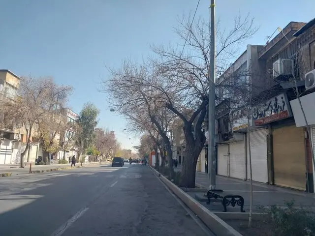 تعطیلی کسب‌وکارها در بازار شیراز