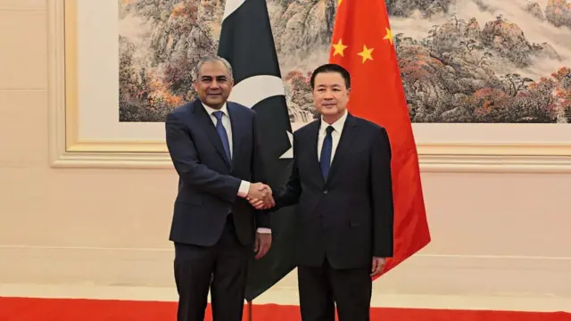 وفاقی وزیر داخلہ محسن نقوی کی چینی وزیر داخلہ وانگ ژاو ہونگ کے ساتھ ملاقات