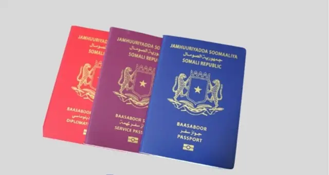 Somali Passport